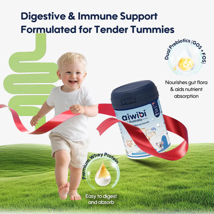 Aiwibi Baby Formula Milk