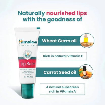 Himalaya Lip Balm Jar (24+2) | Moisturizing & Soft Lip Care Value Pack