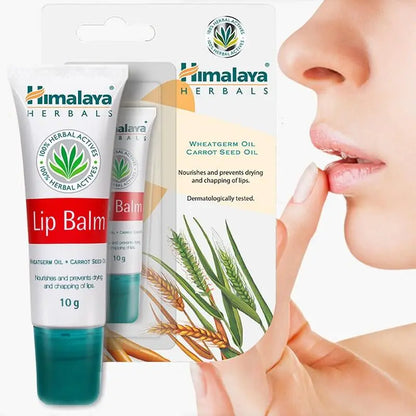 Himalaya Lip Balm Jar (24+2) | Moisturizing & Soft Lip Care Value Pack